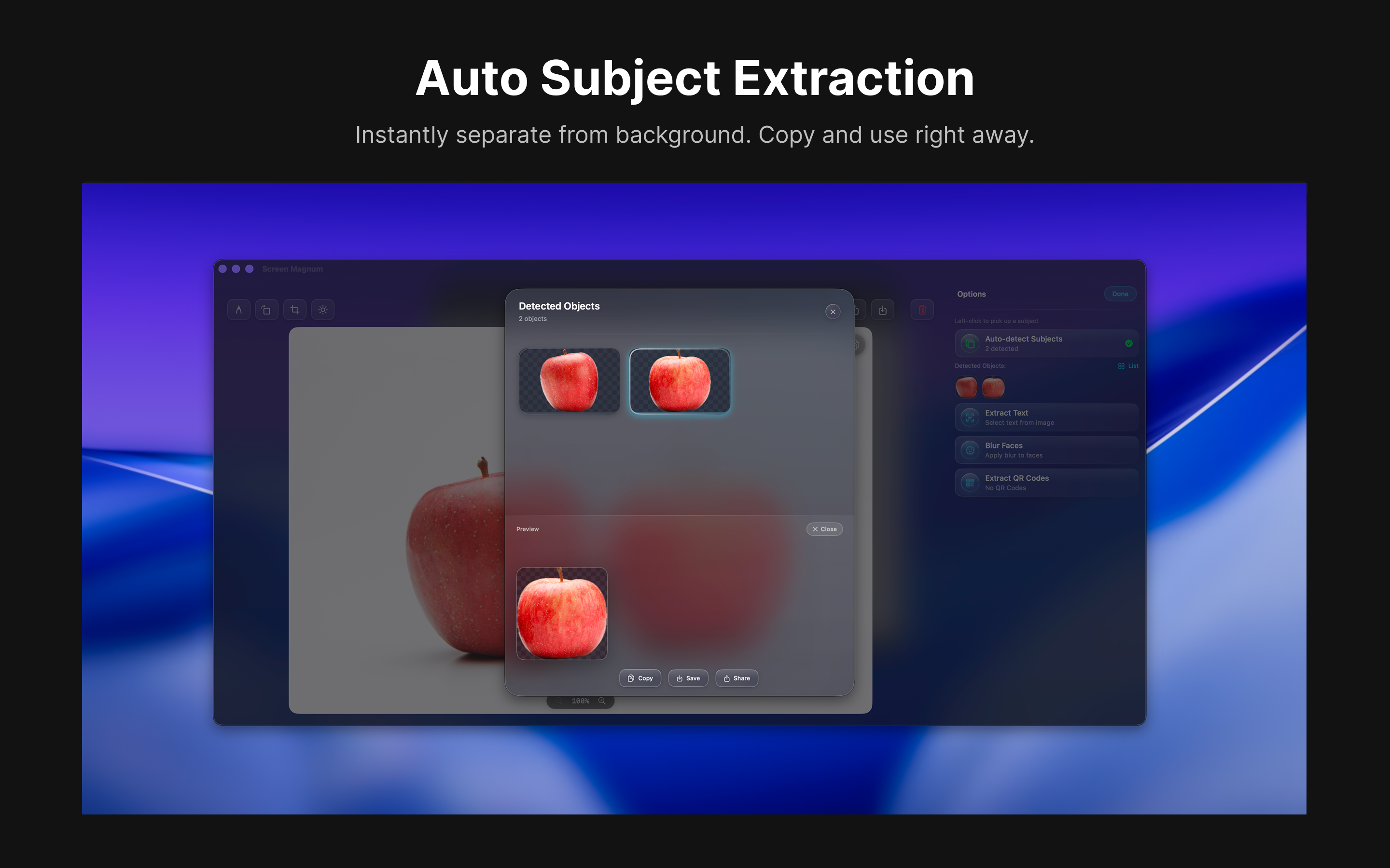 Screen Magnum — AI Analysis